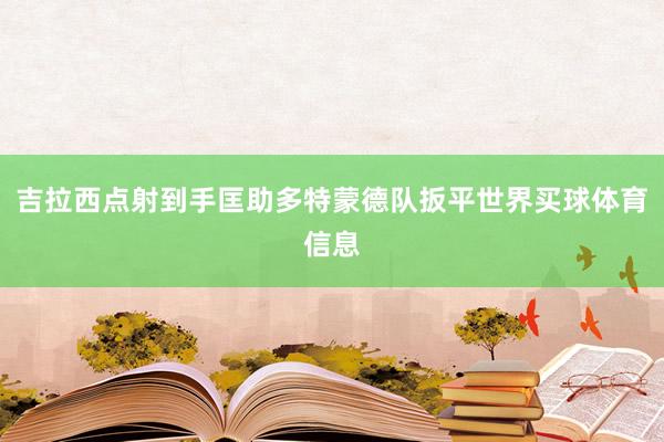 吉拉西点射到手匡助多特蒙德队扳平世界买球体育信息
