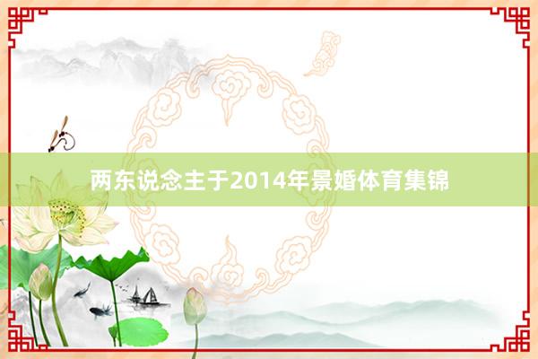 两东说念主于2014年景婚体育集锦
