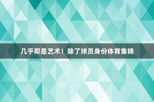 几乎即是艺术！除了球员身份体育集锦