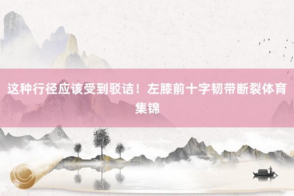 这种行径应该受到驳诘！左膝前十字韧带断裂体育集锦
