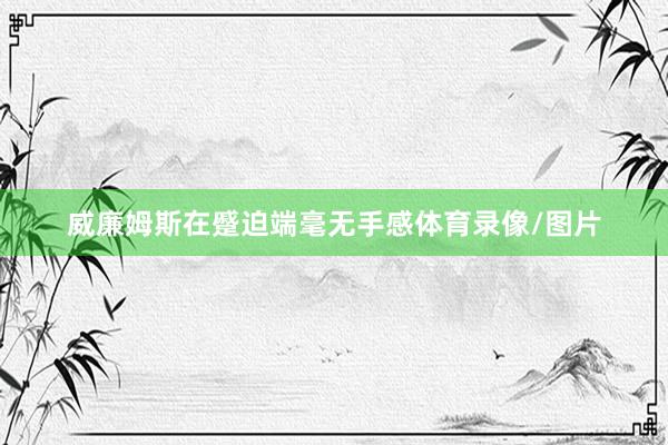 威廉姆斯在蹙迫端毫无手感体育录像/图片