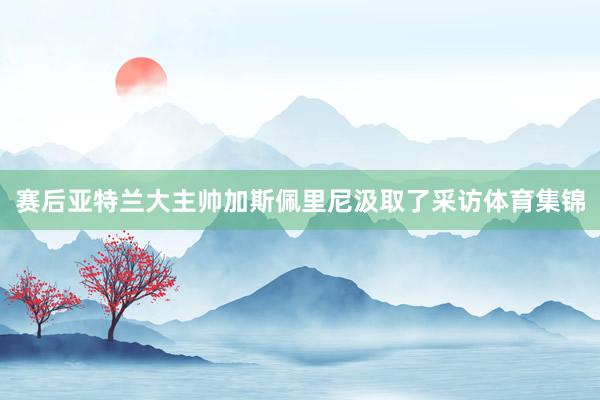 赛后亚特兰大主帅加斯佩里尼汲取了采访体育集锦