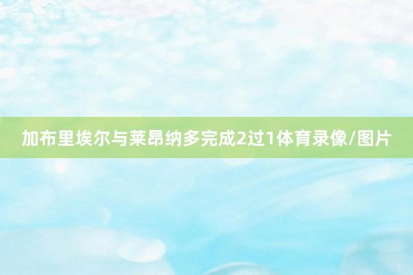 加布里埃尔与莱昂纳多完成2过1体育录像/图片