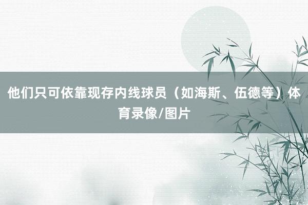 他们只可依靠现存内线球员（如海斯、伍德等）体育录像/图片
