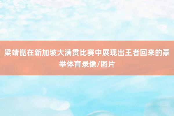 梁靖崑在新加坡大满贯比赛中展现出王者回来的豪举体育录像/图片