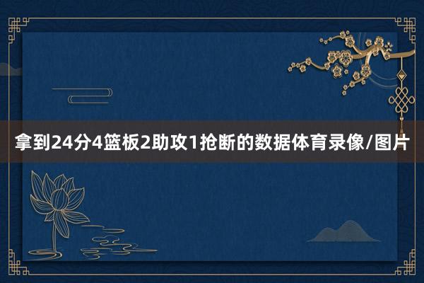 拿到24分4篮板2助攻1抢断的数据体育录像/图片
