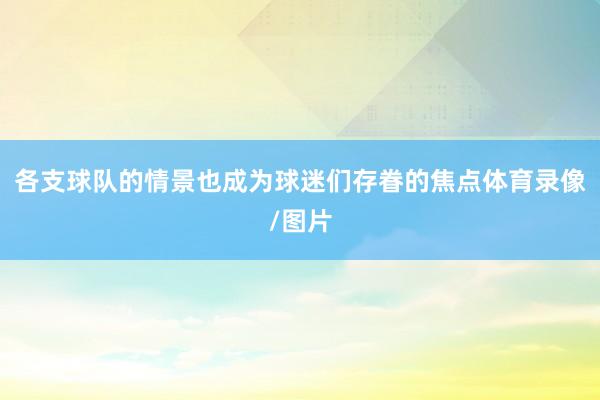 各支球队的情景也成为球迷们存眷的焦点体育录像/图片