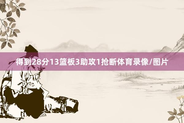 得到28分13篮板3助攻1抢断体育录像/图片
