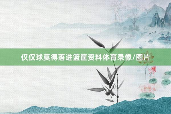 仅仅球莫得落进篮筐资料体育录像/图片
