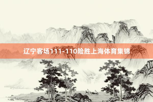 辽宁客场111-110险胜上海体育集锦