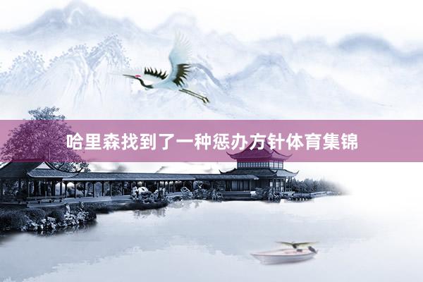 哈里森找到了一种惩办方针体育集锦