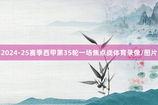 2024-25赛季西甲第35轮一场焦点战体育录像/图片