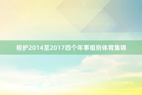 袒护2014至2017四个年事组别体育集锦