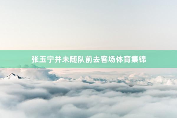 张玉宁并未随队前去客场体育集锦