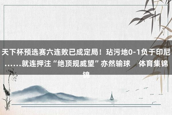 天下杯预选赛六连败已成定局！玷污地0-1负于印尼……就连押注“绝顶规威望”亦然输球    体育集锦
