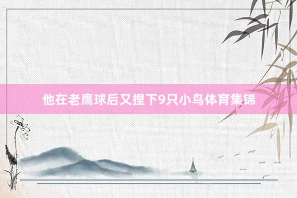 他在老鹰球后又捏下9只小鸟体育集锦