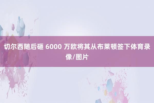 切尔西随后砸 6000 万欧将其从布莱顿签下体育录像/图片