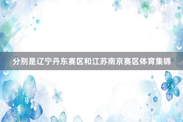 分别是辽宁丹东赛区和江苏南京赛区体育集锦