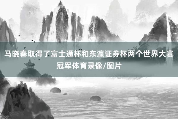 马晓春取得了富士通杯和东瀛证券杯两个世界大赛冠军体育录像/图片