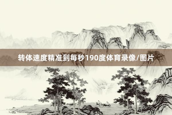 转体速度精准到每秒190度体育录像/图片
