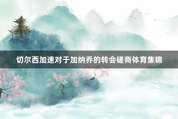 切尔西加速对于加纳乔的转会磋商体育集锦