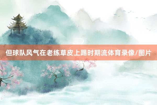 但球队风气在老练草皮上踢时期流体育录像/图片
