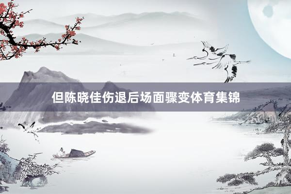 但陈晓佳伤退后场面骤变体育集锦