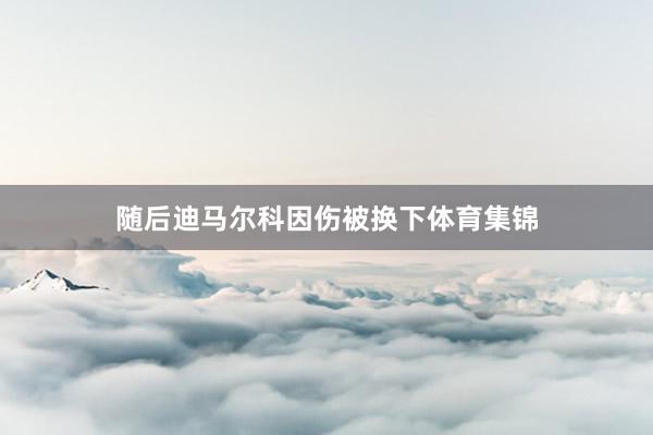 随后迪马尔科因伤被换下体育集锦