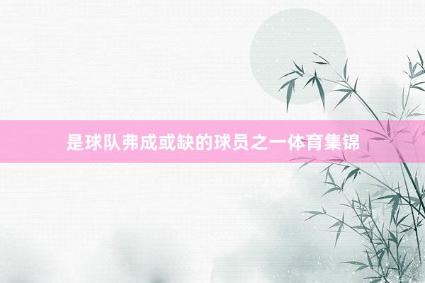 是球队弗成或缺的球员之一体育集锦
