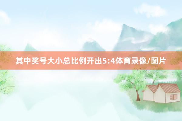 其中奖号大小总比例开出5:4体育录像/图片