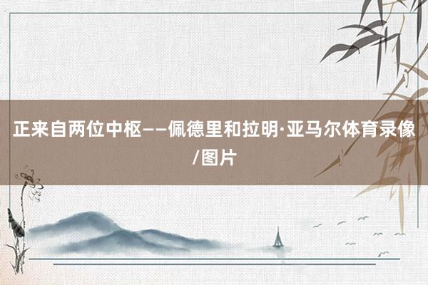 正来自两位中枢——佩德里和拉明·亚马尔体育录像/图片