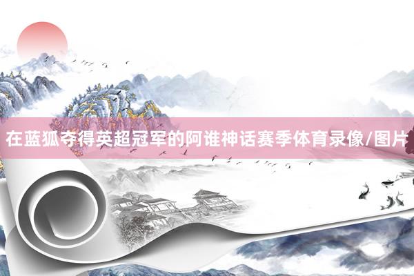 在蓝狐夺得英超冠军的阿谁神话赛季体育录像/图片