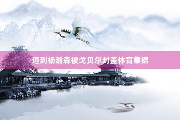 道到杨瀚森被戈贝尔封盖体育集锦