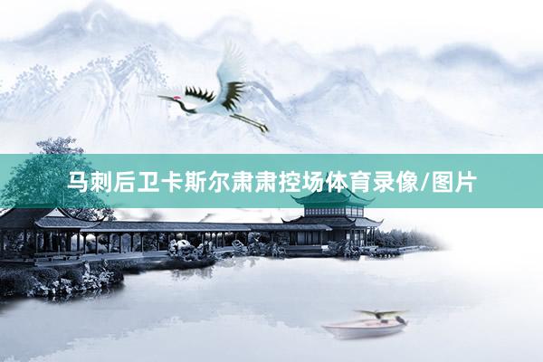 马刺后卫卡斯尔肃肃控场体育录像/图片