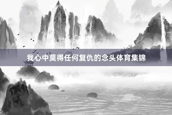 我心中莫得任何复仇的念头体育集锦