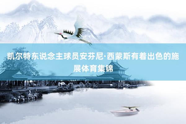 凯尔特东说念主球员安芬尼·西蒙斯有着出色的施展体育集锦
