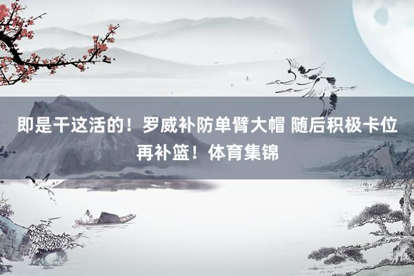 即是干这活的！罗威补防单臂大帽 随后积极卡位再补篮！体育集锦
