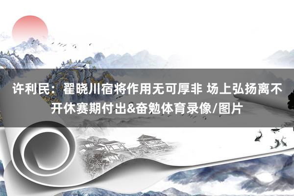 许利民：翟晓川宿将作用无可厚非 场上弘扬离不开休赛期付出&奋勉体育录像/图片
