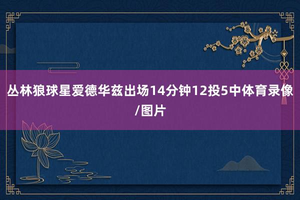 丛林狼球星爱德华兹出场14分钟12投5中体育录像/图片