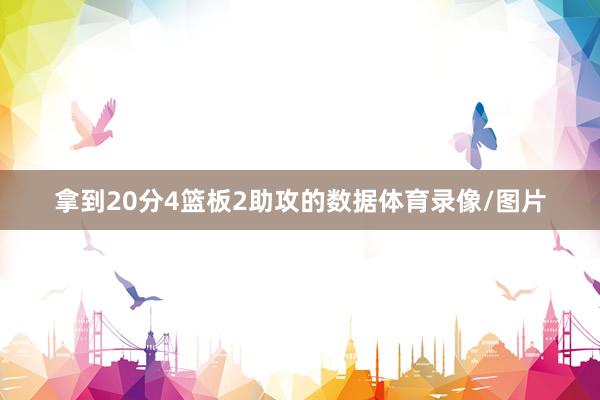 拿到20分4篮板2助攻的数据体育录像/图片