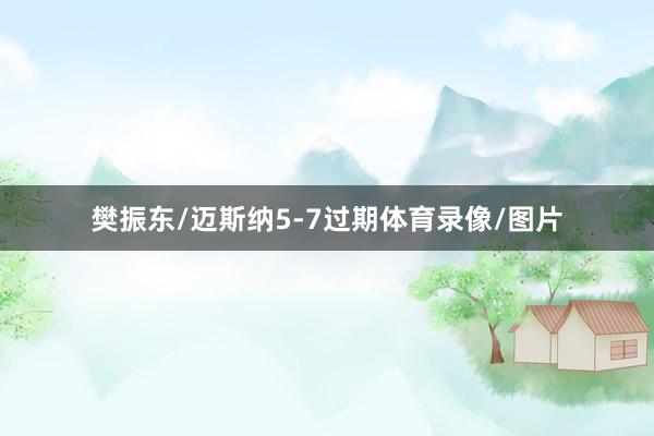 樊振东/迈斯纳5-7过期体育录像/图片
