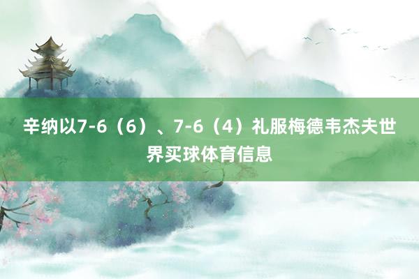 辛纳以7-6（6）、7-6（4）礼服梅德韦杰夫世界买球体育信息