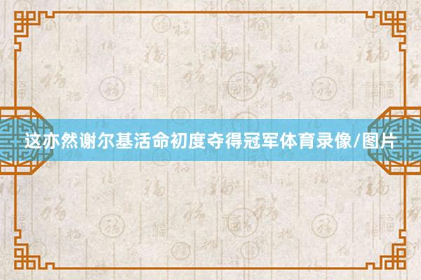这亦然谢尔基活命初度夺得冠军体育录像/图片