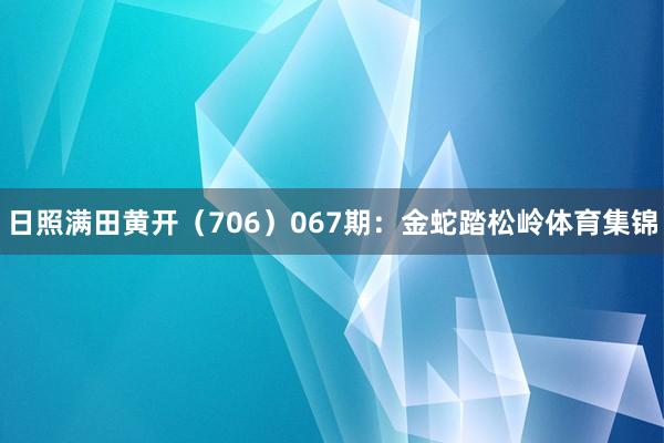 日照满田黄开（706）　　067期：金蛇踏松岭体育集锦