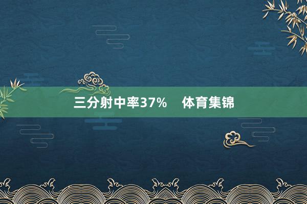 三分射中率37%    体育集锦