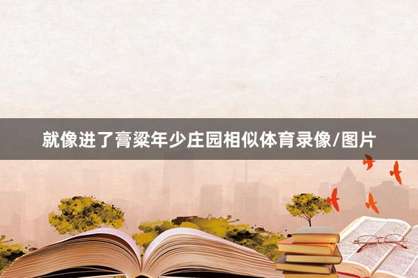 就像进了膏粱年少庄园相似体育录像/图片