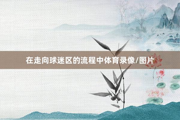 在走向球迷区的流程中体育录像/图片