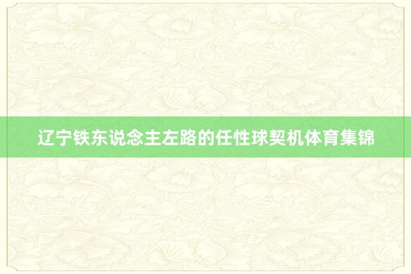 辽宁铁东说念主左路的任性球契机体育集锦