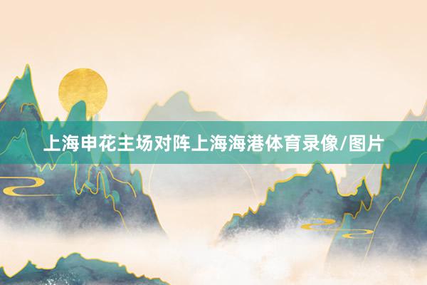 上海申花主场对阵上海海港体育录像/图片