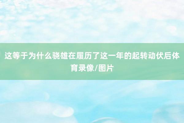 这等于为什么骁雄在履历了这一年的起转动伏后体育录像/图片